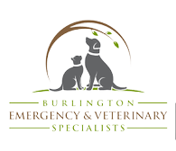 Burlington Emergency & Veterinary Specialists Logo
