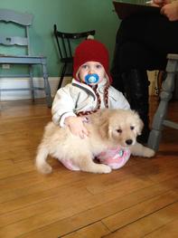 A baby sitting on a dog