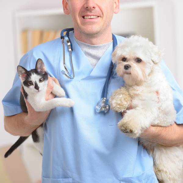 A person holding a cat and a dog
